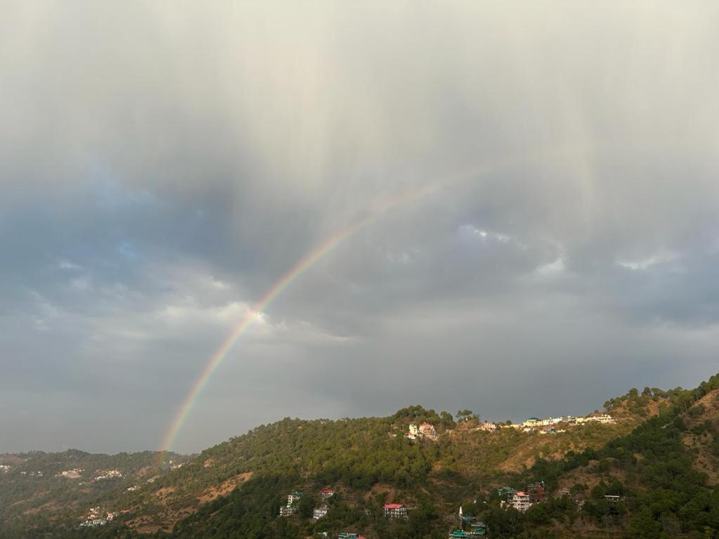 Idyllic Private Cottage W/King Bed + Mountain View Kasauli Extérieur photo